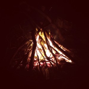 Driftwood Fire on the Beach